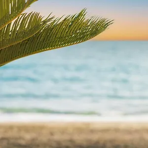 https://salt-flavor-apartment.it-romehotels.com
